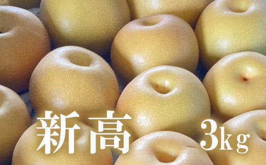 No.1721梨　なし　新高　約3kg 【2025年発送　先行予約】