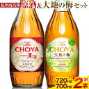 【ふるさと納税】THE CHOYA 紀州南高梅 原酒 720ml 大地の梅 700ml 計2本 セット 飲み比べ 羽曳野商工振興株式会社《30日以内に出荷予定(土日祝除く)》大阪府 羽曳野市 送料無料 梅酒 梅 酒 CHOYA チョーヤ チョーヤ梅酒 お酒 紀州 南高梅 大地の梅