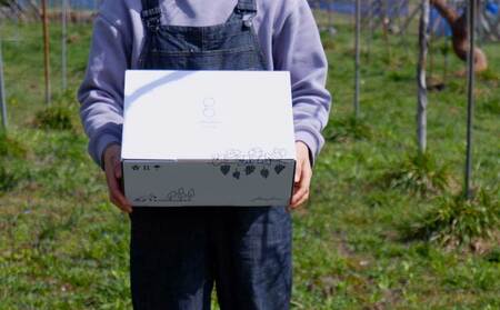 （先行予約2024年発送）【glasses farm】完熟ぶどうの贈り物（シャインマスカット３房）※2024年9月中旬〜10月末頃発送予定