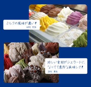 410004 LicoLicoの北海道素材を使った自家製ジェラート・ななつぼしミルク＆ミルク(業務用/1,000ml×2)  