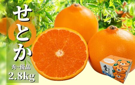 【2027年2月頃から順次発送】＜せとか＞ 秀~優品 約 2.8kg | 食べくらべ 愛媛 みかん 蜜柑 柑橘 果物 くだもの フルーツ お取り寄せ グルメ 期間限定 数量限定 人気 おすすめ 愛媛県 松山市【PT018_x】