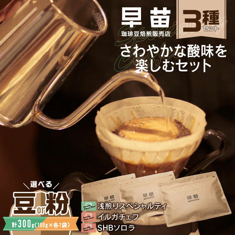 
                  【早苗】焙煎珈琲豆（さわやかな酸味を楽しむセット　3種×各100g） スペシャルティコーヒー 珈琲 セット 3種 浅煎り 軽め さっぱり さわやか酸味 ジッパー チャック付き 豆 粉 東京 新宿 0020-006-S05
                