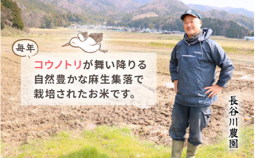 【令和8年産】定期便 ≪12ヶ月連続お届け≫長谷川農園の コシヒカリ 玄米 5kg × 12回 (計60kg) 【米 5kg お米 こしひかり 5キロ 玄米 ブランド米 ふるさと納税米 産地直送】 [