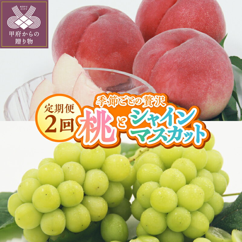 【ふるさと納税】 2025年度配送分 期間限定 甲府 フルーツ定期便 2回 桃 約2kg(4〜7個) シャインマスカット 約1.2kg(2〜3房） ぶどう 種なし 果物 甘い フルーツ王国 冷蔵 k345-012