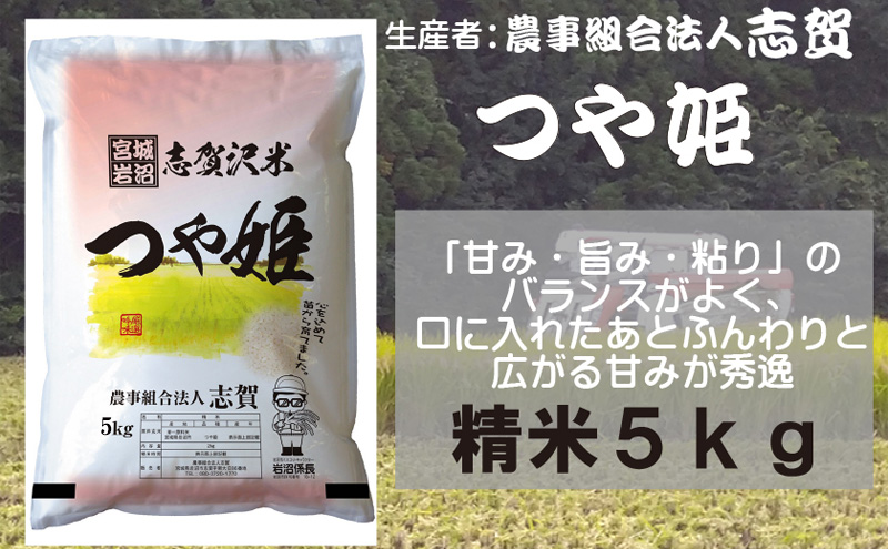 【令和7年産新米】米 つや姫 5kg 志賀沢米 岩沼産 お米 白米 精米 ブランド米 単一原料米 5キロ こめ コメ おこめ ご飯 ライス つやひめ 宮城県産つや姫 東北 宮城県産 宮城米 グルタミン酸 アスパラギン酸 宮城 宮城県 岩沼市