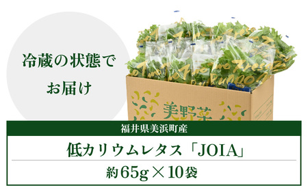 低カリウムレタス 美野菜 「JOIA」 10袋 クリーンルーム栽培 無農薬 鮮度長持ち 【野菜 生野菜 レタス サラダ お弁当 水耕栽培 洗わず食べられる 時短 付け合わせ】レタス フリルレタス 野菜
