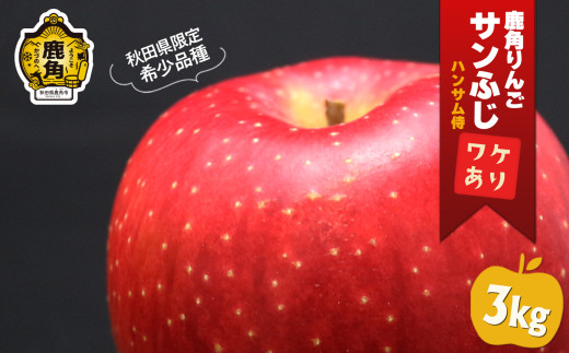《 先行予約 》鹿角りんご 訳あり「秋田紅あかり」約 3kg ●2025年11月上旬発送開始【ハンサム侍】リンゴ 林檎 フルーツ グルメ ギフト 故郷 秋田 あきた 鹿角市 鹿角 送料無料 