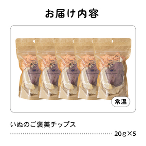 【3か月定期便】いぬのご褒美チップス20g×5袋 ペットフード 犬 無添加  おやつ 美味しい ご褒美 ドッグフード ドライ  犬用 いぬ用 愛犬用 R030-028