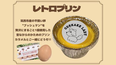 【ODEKAKE LADY】レトロプリン６個セット 贅沢 平飼い卵 昔プリン ぷりん [BW068ci]