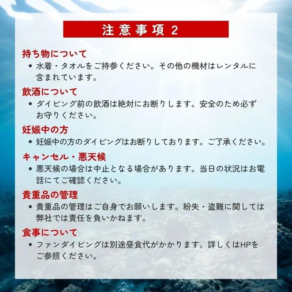  【ダイビング】ライセンス不要！感動の水中世界へ！サンマリン 体験ダイビング（2名様）【smr004】