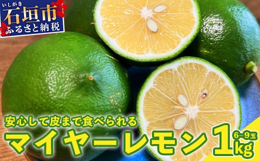 【先行予約】≪2026年8月以降順次発送≫ こだわりの青切りマイヤーレモン 約1kg (6~9個) 【 沖縄 石垣 数量限定 フルーツ レモン マイヤー メイヤー こだわり 】TF-026