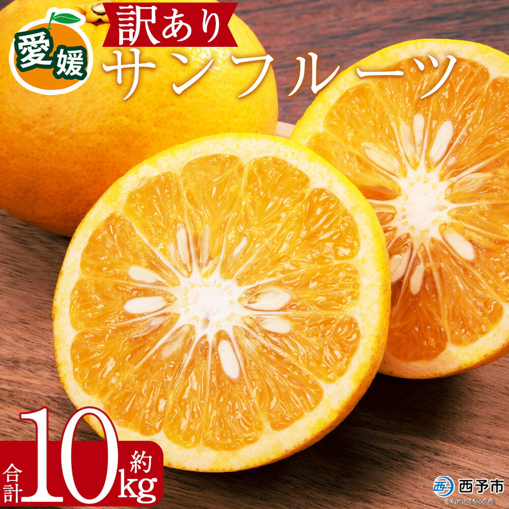 【ふるさと納税】＜訳あり サンフルーツ (サイズ混合) 約10kg＞みずみずしい 果汁 爽やか 酸味 愛媛 蜜柑 ミカン みかん 果物 フルーツ 柑橘 国産 訳アリ ご家庭用 愛媛県産 西予市産 西宇和 特産品 丸二青果 愛媛県 西予市【常温】『2026年3月上旬から順次出荷予定』