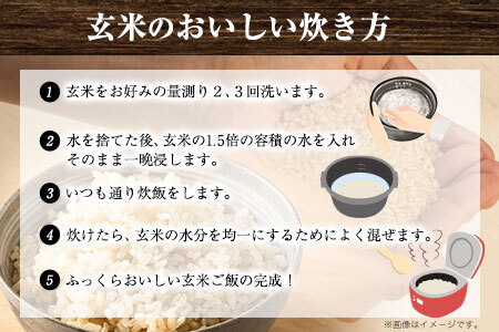 米 【6ヶ月定期便】令和5年産 ひのひかり 玄米 20kg 熊本県荒尾市産 つゆくさ農園 《お申込み月の翌月から出荷開始》