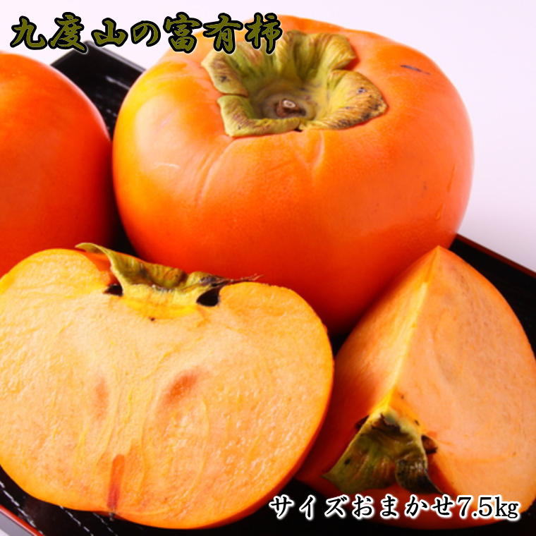 【ふるさと納税】 【柿の名産地】九度山の富有柿約7.5kgサイズおまかせ※2025年11月上旬～2025年12月上旬頃に順次発送（お届け日指定不可）