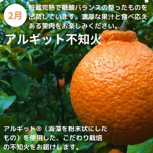 みかん満足セットS | 定期便 全3回 フルーツ みかん 不知火 みかんバター 12月～2月