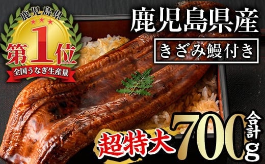 
										
										鹿児島県産うなぎ蒲焼きざみセット＜超特大＞(約200g×3尾・きざみ50g×2袋) タレ・山椒付き 鰻 うなぎ 蒲焼 【西日本養鰻】B44-v01
									