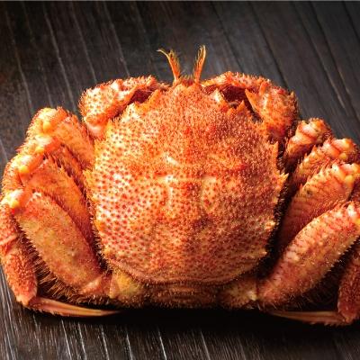 ふるさと納税 紋別市 ボイル毛がに(約440g〜570g)×1尾