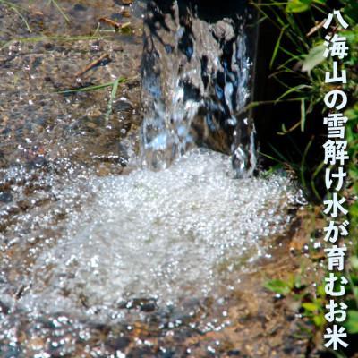 ふるさと納税 南魚沼市 【毎月定期便】南魚沼産コシヒカリ 無洗米5kg【栽培期間中、農薬を減らして作ったお米】全6回 |  | 02