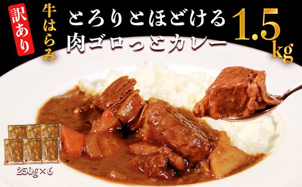 
            【訳あり】具だくさんやわらか牛ハラミカレー250g×6パック　計：約1.5kg 牛 牛ハラミ カレー レンジ 湯煎 【お届け時期：入金確認後３ヶ月前後で順次発送】
          