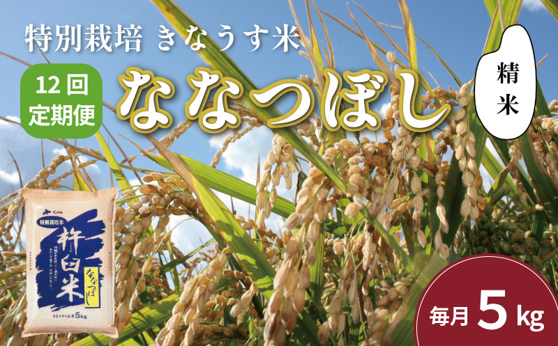 
            【精米12ヶ月定期便】特別栽培「きなうす米」ななつぼし5kg×12回　P013
          