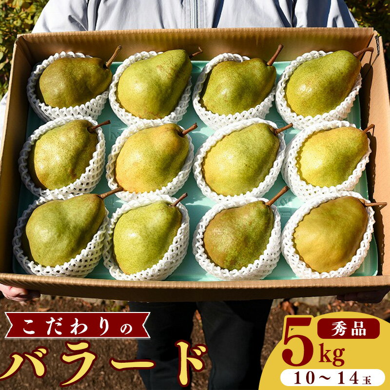 【ふるさと納税】 山形県産 西洋梨「バラード」5kg（10玉〜14玉）【2025年10月上旬頃〜中旬頃発送予定】 山形産 ／ 果物 フルーツ 果実 梨 お取り寄せ ご当地 特産 産地直送 農家直送 旬 秋 デザート おやつ 東北 山形県 2025年産 令和7年産 5キロ