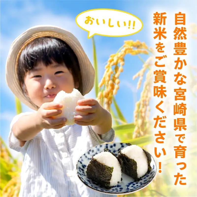 2週間以内に発送 無洗米 令和8年産 新米 コシヒカリ 20kg お米 ご飯 ライス 国産_GC4-26