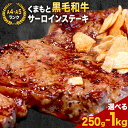 【ふるさと納税】 【A4～A5】くまもと黒毛和牛 サーロインステーキ 選べる 250g 500g 1kg 《30日以内に出荷予定(土日祝除く)》 牛肉 くまもと黒毛和牛 黒毛和牛 冷凍庫 サーロイン ステーキ