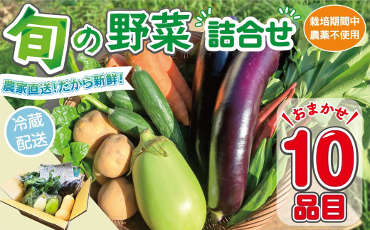 野菜セット (10品目) 旬 季節 南知多産 詰め合わせ 農薬･化学肥料不使用 農家おまかせ 季節の野菜 旬の野菜 料理 とりのさと農園 愛知県 南知多町