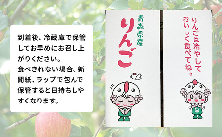 【 農家直送 数量限定 】 11～12月発送 家庭用 サンふじ 約 5kg 【 訳あり 】  果物 フルーツ 青森りんご シャキシャキ 