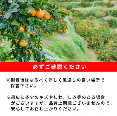 G7098_【2025年先行予約】紀州和歌山有田産 ゆら早生みかん 10kg