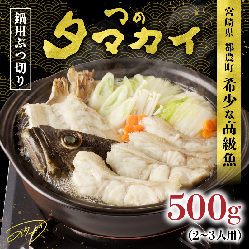 都農町産「つのタマカイ(鍋用・ぶつ切り)2～3人前」計500g_T012-001【魚 魚介 養殖 希少 国産 人気 ギフト 食品 おかず 魚貝 加工品 お土産 贈り物 送料無料 プレゼント】