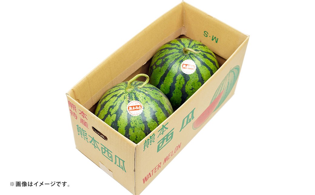 大玉すいか 1玉入り S以上 約2kg