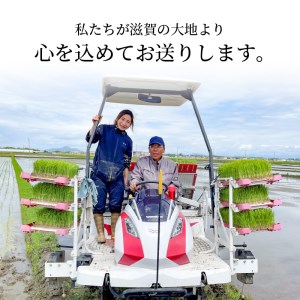 令和８年度産　滋賀県産ミルキークイーン 5kg　低アミロース米 お米 白米  DC-0002