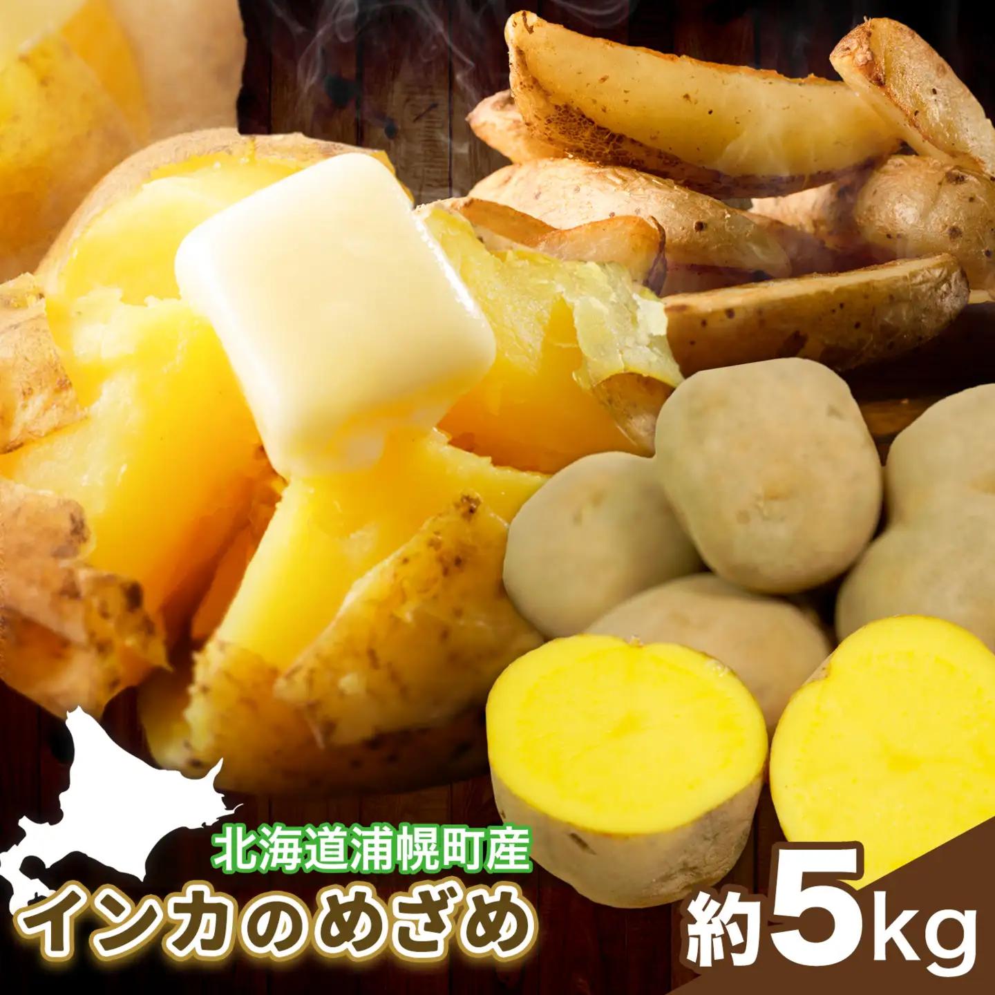 インカのめざめ 5kg じゃがいも 飯山農場《9月中旬-3月上旬頃出荷》芋 ジャガイモ 野菜 送料無料 北海道 浦幌町 