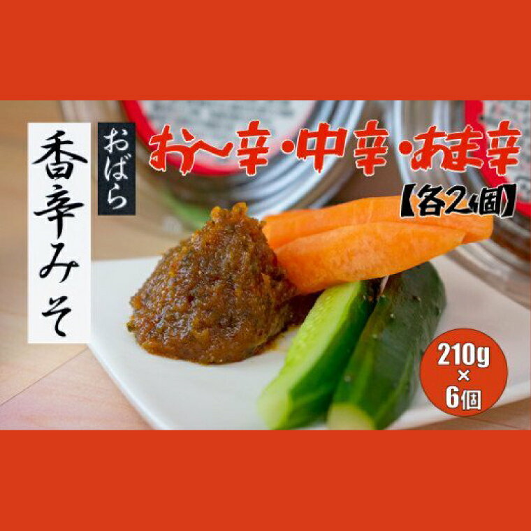 【ふるさと納税】香辛みそセット（6パック入り） 味噌 ミソ みそ 信州味噌 調味料 パック 3種 ディップ 辛味噌 唐辛子 大葉 有機栽培 無農薬栽培 水戸市 茨城県（AY-3）