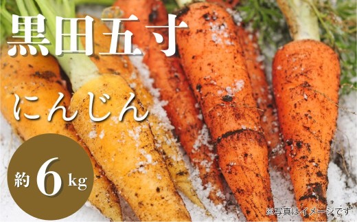 有機ニンジン 6kg 人参 にんじん 有機野菜 在来品種・黒田五寸　有機人参（洗い）6kg　ゲルソン療法にもぜひご活用下さい！