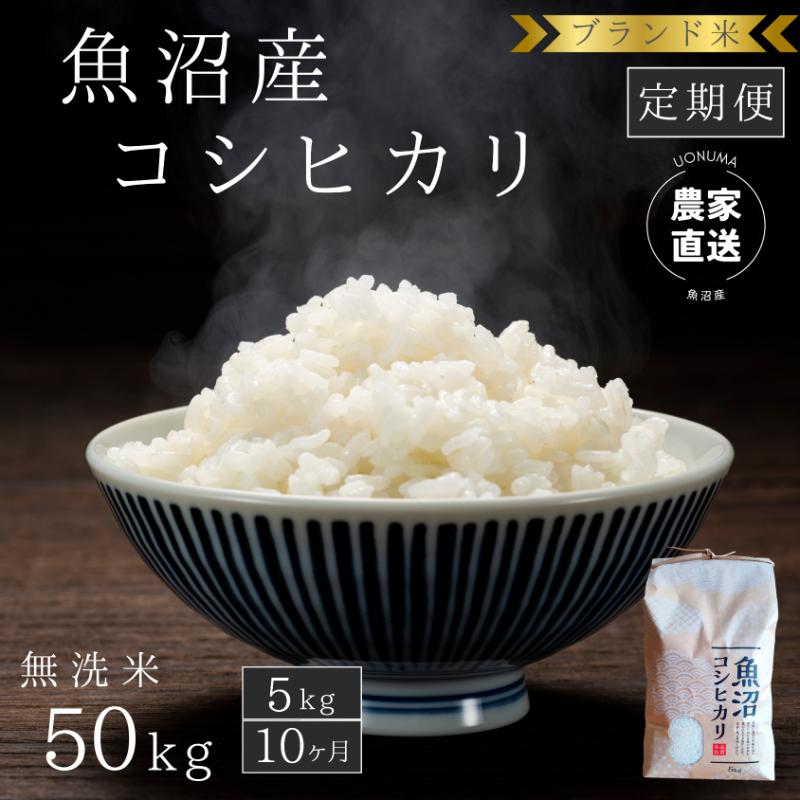 【ふるさと納税】【定期便：無洗米5kg×10ヶ月】ブランド米 魚沼産コシヒカリ 米 こしひかり 新潟 定期　お届け：寄附入金月の翌月より発送