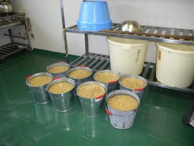 小淵沢味噌　「延命味噌」「米糀味噌」２点おためしセット(400g×2) [h105]