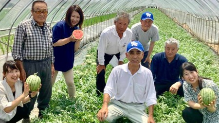 【 訳あり 】【5月中旬より発送開始】 際まで甘い こだまスイカ 愛娘 （ １玉 ） スイカ 西瓜 旬 旬の果実 旬のフルーツ くだもの 果実 フルーツ 夏 [BC060sa]