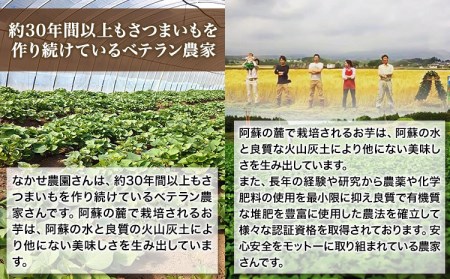 熊本県大津町産 なかせ農園の蔵出しベニーモ 約3.5kg(大中小サイズ不揃い)《1月中旬-3月末頃より出荷予定》 紅はるか なかせ農園