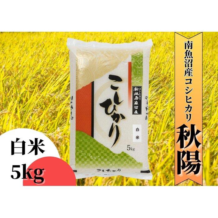 【ふるさと納税】【令和8年産 新米予約】南魚沼産コシヒカリ「秋陽」（白米5kg）新潟県の特A地区南魚沼市の美味しいお米【銘柄米 ブランド米 精米 こしひかり コシヒカリ 魚沼産 新潟米 産地直送 お米】【2026年10月上旬より1ヶ月以内に順次発送予定】