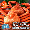 【ふるさと納税】《 冷蔵 》 ズワイガニ 2匹 約 1.2kg 紅ズワイガニ ベニズワイガニ ずわい ズワイ蟹 ずわいがに ずわい蟹 姿 ボイル 訳あり 蟹 カニ かに 国産 蟹 不揃い 傷 緊急 カニみそ入り 潟上市 【安田水産】