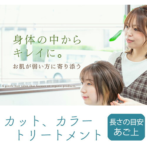 【ふるさと納税】No.287 （S）カット、カラー、トリートメント ／ チケット ショートヘア用 肌に優しい 髪に優しい 送料無料 愛知県