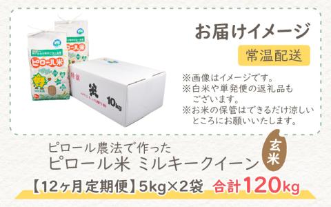 【令和5年産】【12ヶ月定期便】弱アルカリ性のピロール米 ミルキークイーン 玄米 10kg（5kg×2袋）×12回　 化学肥料5割以下・減農薬