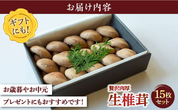 肉厚生椎茸 秀品15枚セット / 南島原市 / サンエスファーム [SBX001]