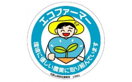 タネなし脱渋甘柿（刀根早生）Ｌサイズ36個入7.5kg箱 ※10月中旬～下旬頃に順次発送【art001】