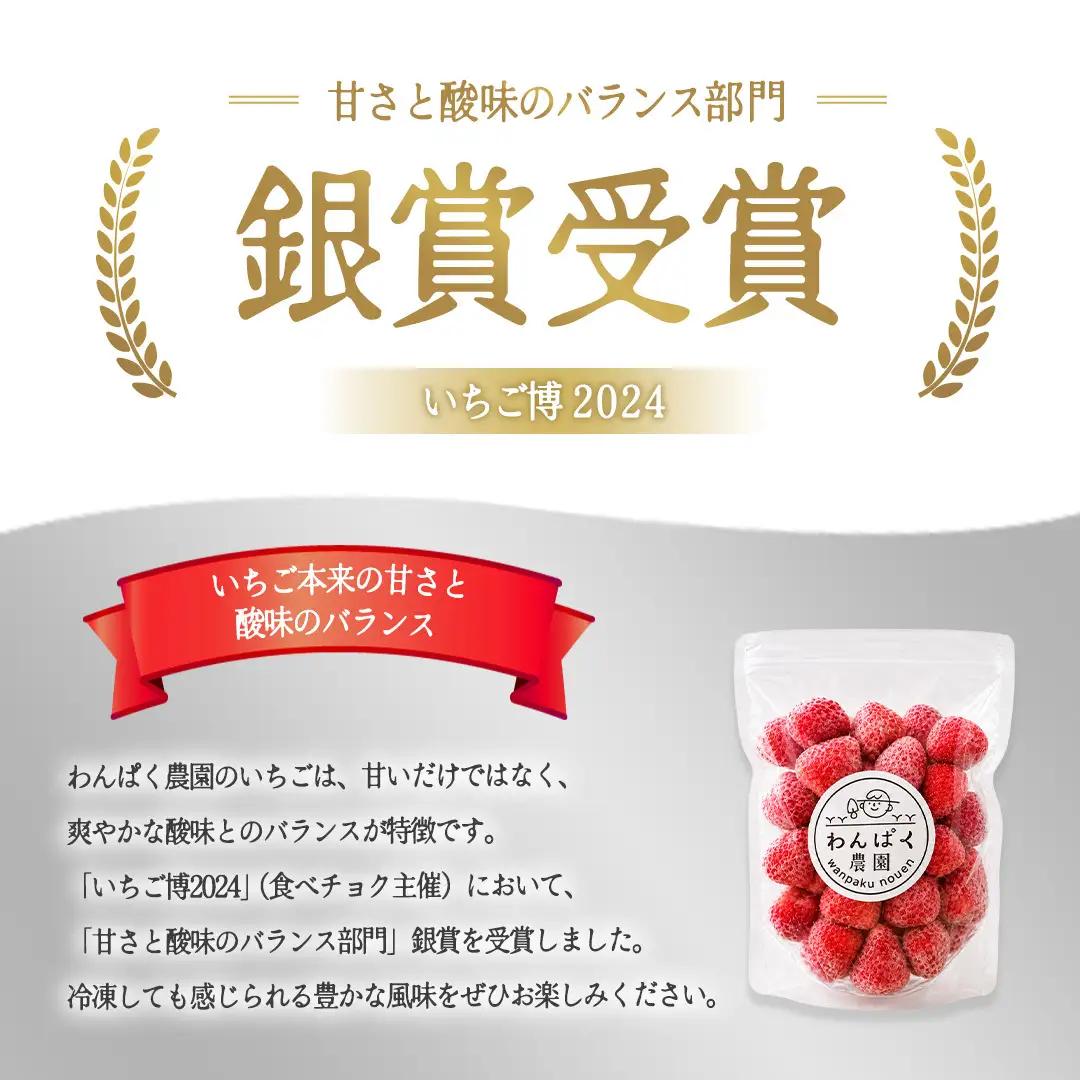 冷凍 完熟 イチゴ 1kg ( 500g × 2袋 )  (BT003)