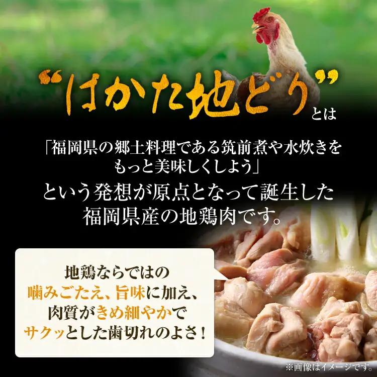 福岡限定 はかた地どり美人水炊きセット 2～3人前 お取り寄せグルメ お取り寄せ お土産 九州 福岡土産 取り寄せ グルメ MEAT PLUS CP039
