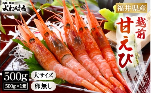 天然！越前甘エビ (卵なし) 大サイズ 約500g × 1箱 (約30尾入り) 【通常発送】 解凍方法説明書付き 船内凍結 酸化防止剤不使用！ 甘エビ本来の味をお楽しみください えび エビ 海老 甘エビ 甘えび 人気 海鮮 お刺身 魚介 おせち 無添加 冷凍 福井県産 国産[m17-a052_00]