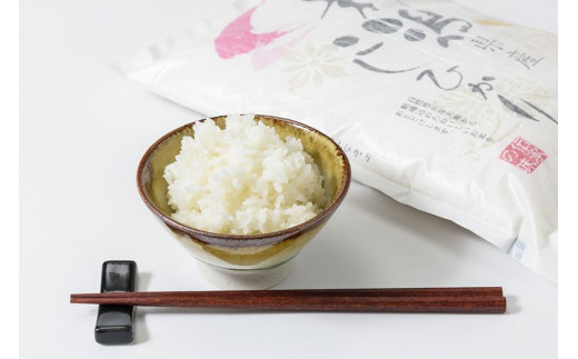 お米マイスターが育てた特別栽培米 コシヒカリ 上越頸城産 令和7年産 6kg(2kg×3袋)白米 ふぁーむ大地  JCCソフト